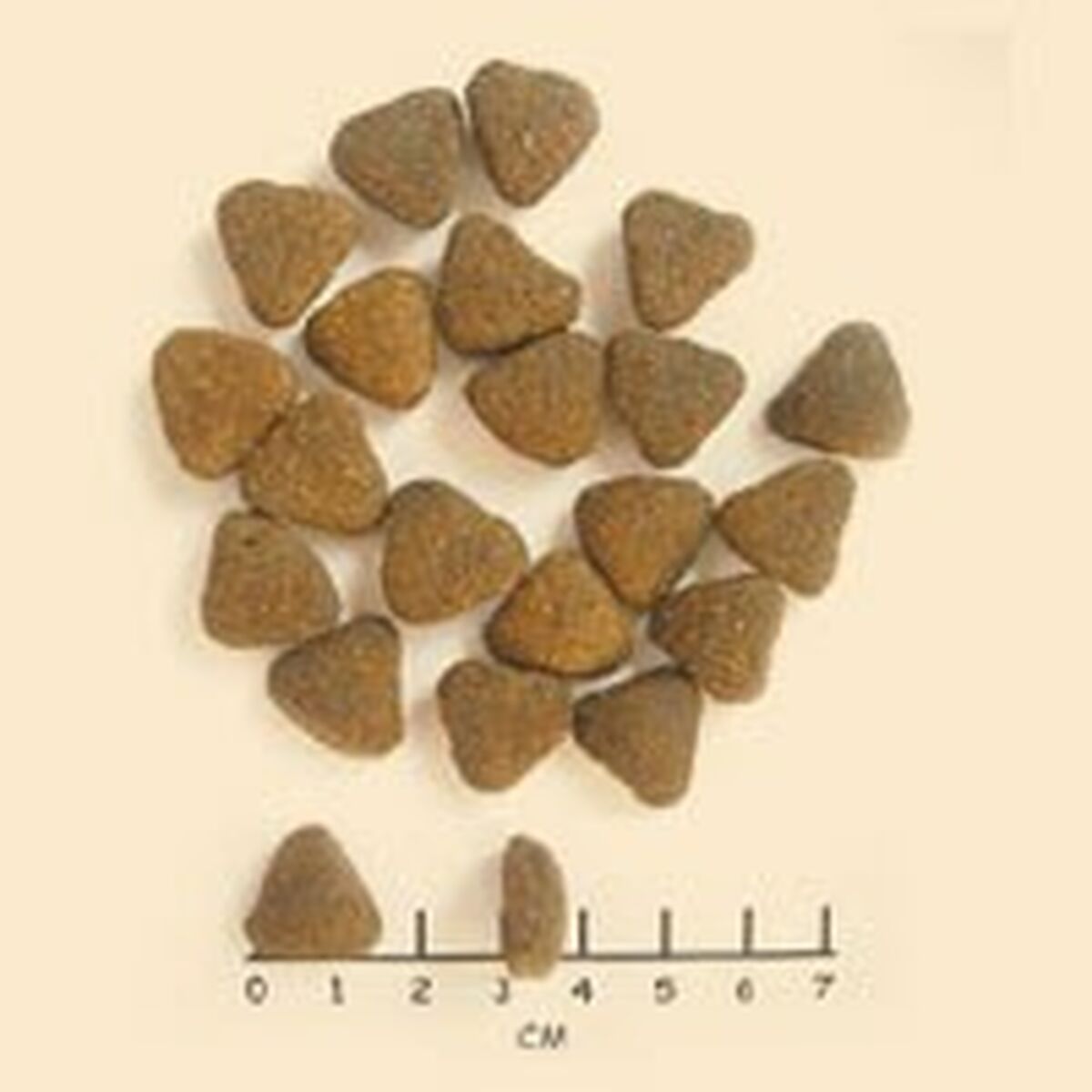 Pienso Wolfsblut Adulto Carne Batata 2 Kg