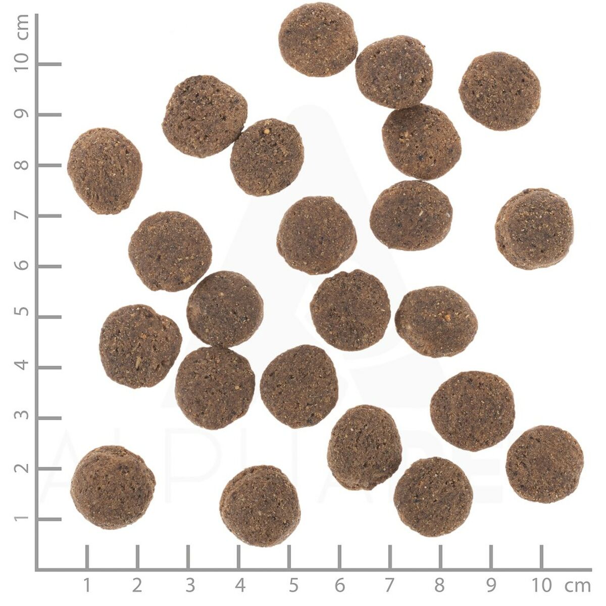 Pienso Wolfsblut Adulto Carne 12 kg