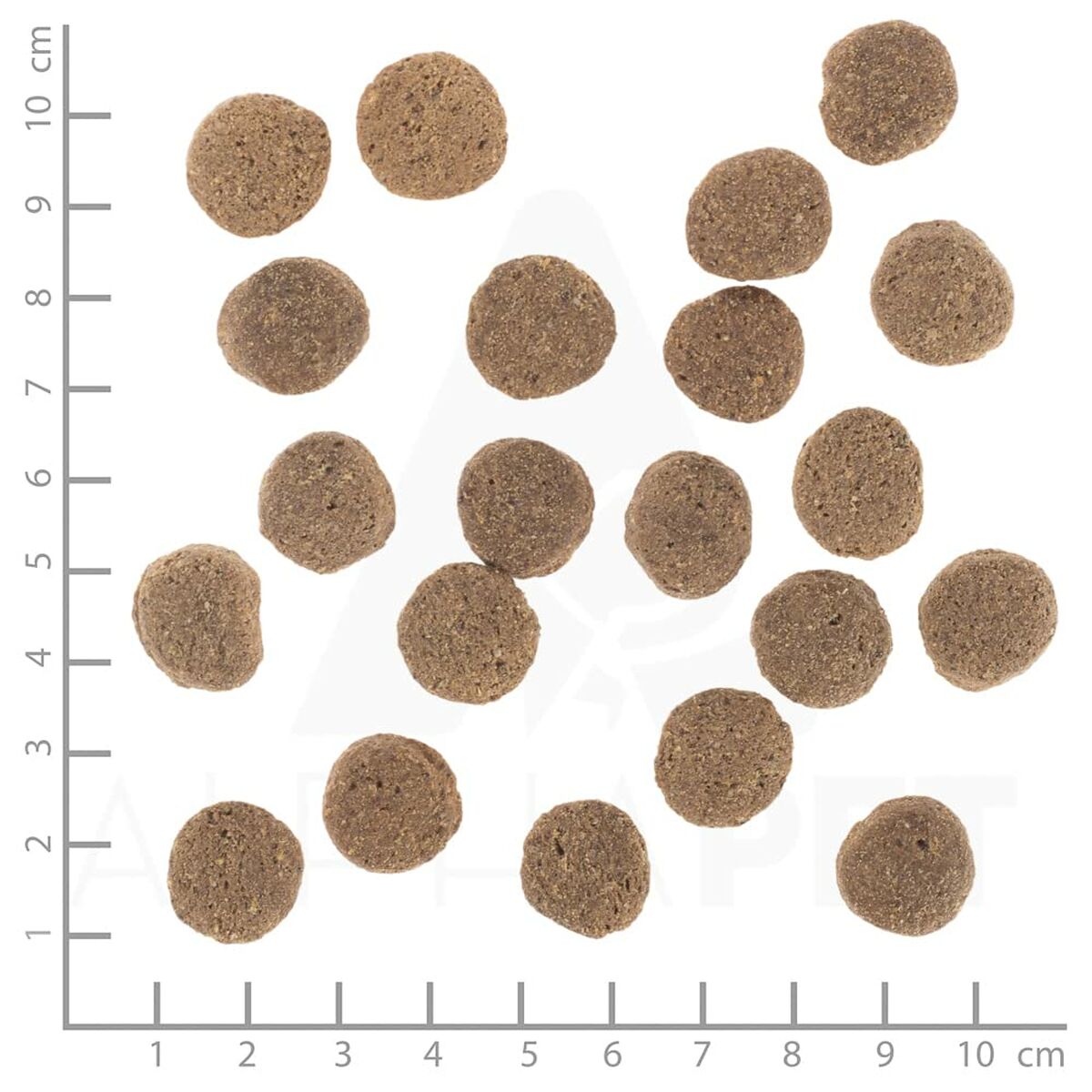 Pienso Wolfsblut Adulto 12 kg