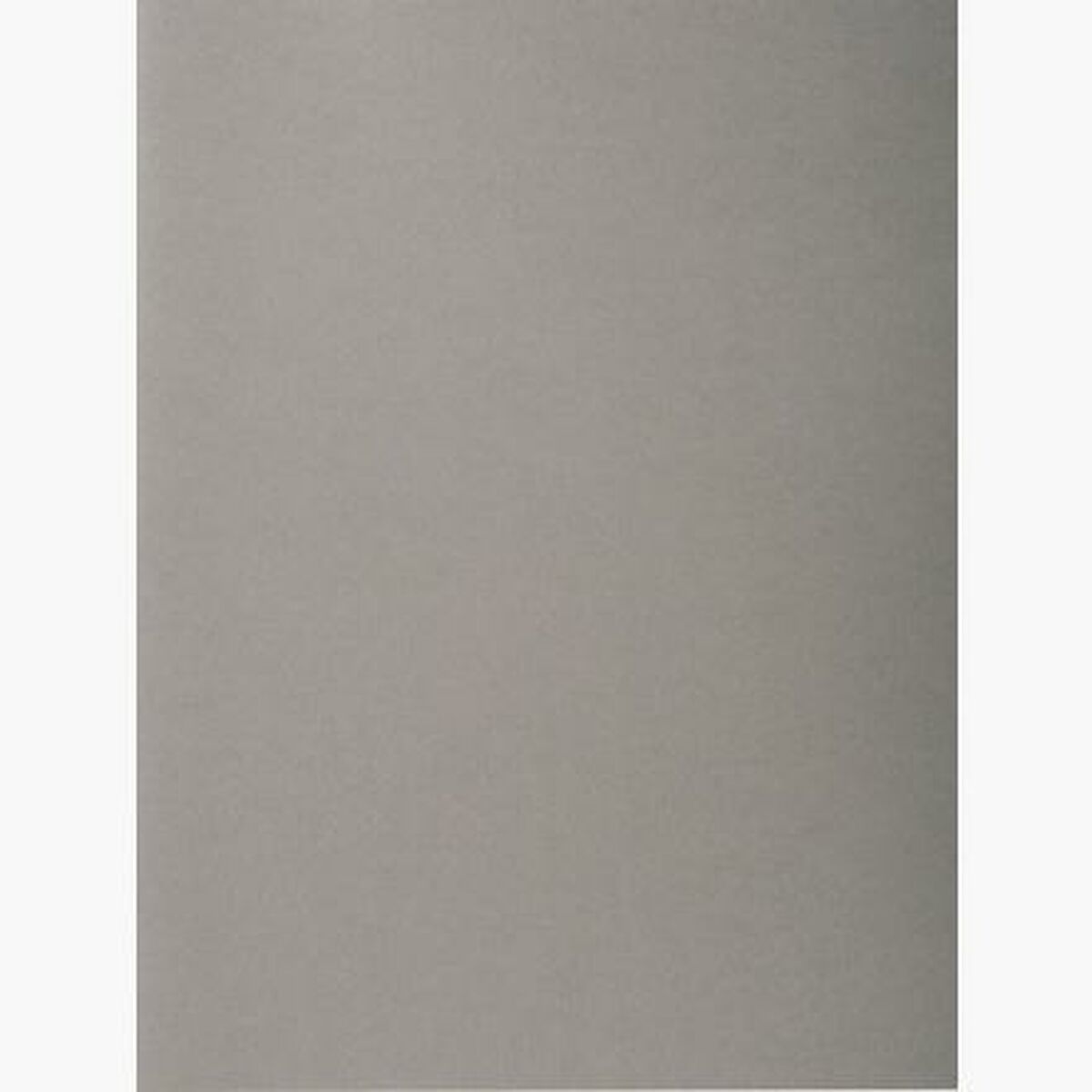 Set de Subcarpetas Exacompta Gris A4 100 Piezas (5 Unidades)