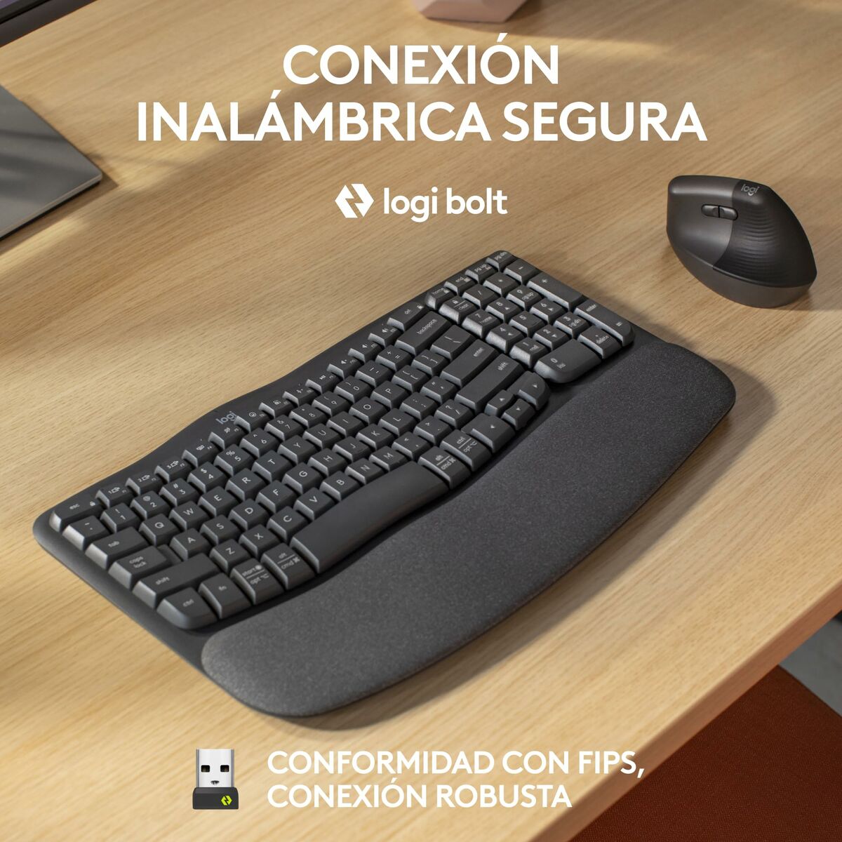 Teclado y Ratón Logitech Grafito Acero Qwerty Español