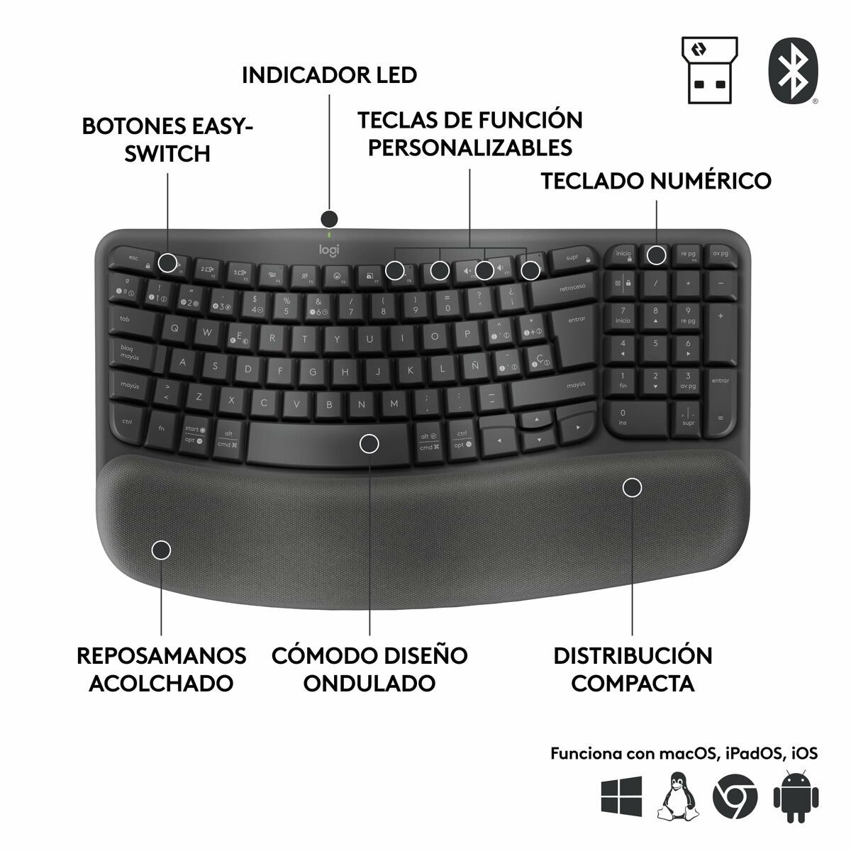 Teclado y Ratón Logitech Grafito Acero Qwerty Español