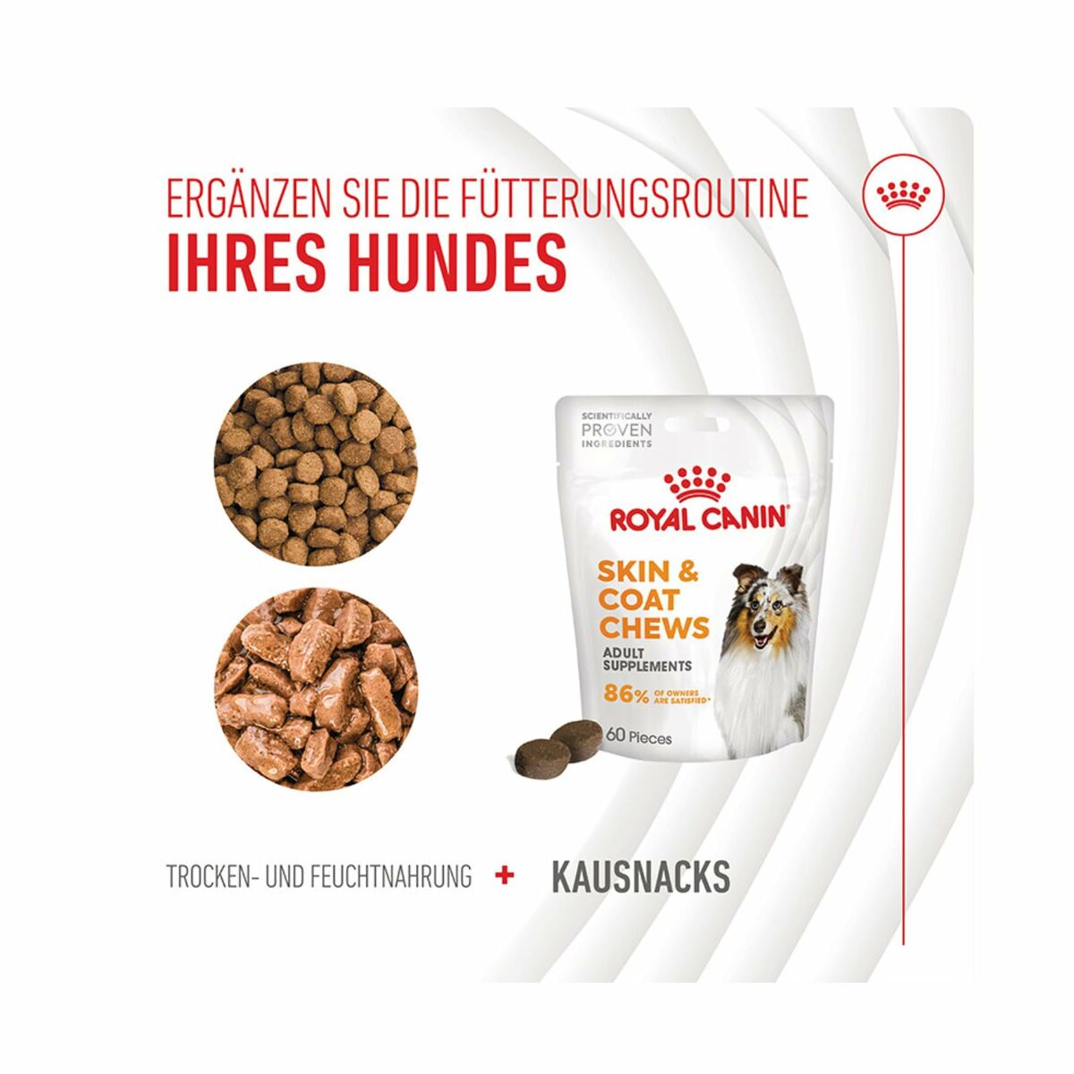 Snack para Perros Royal Canin 240 g