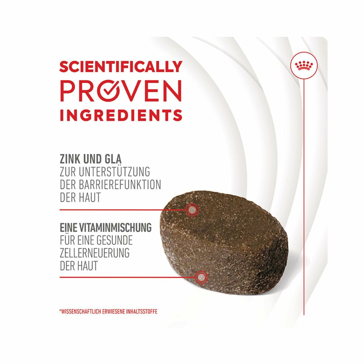 Snack para Perros Royal Canin 240 g