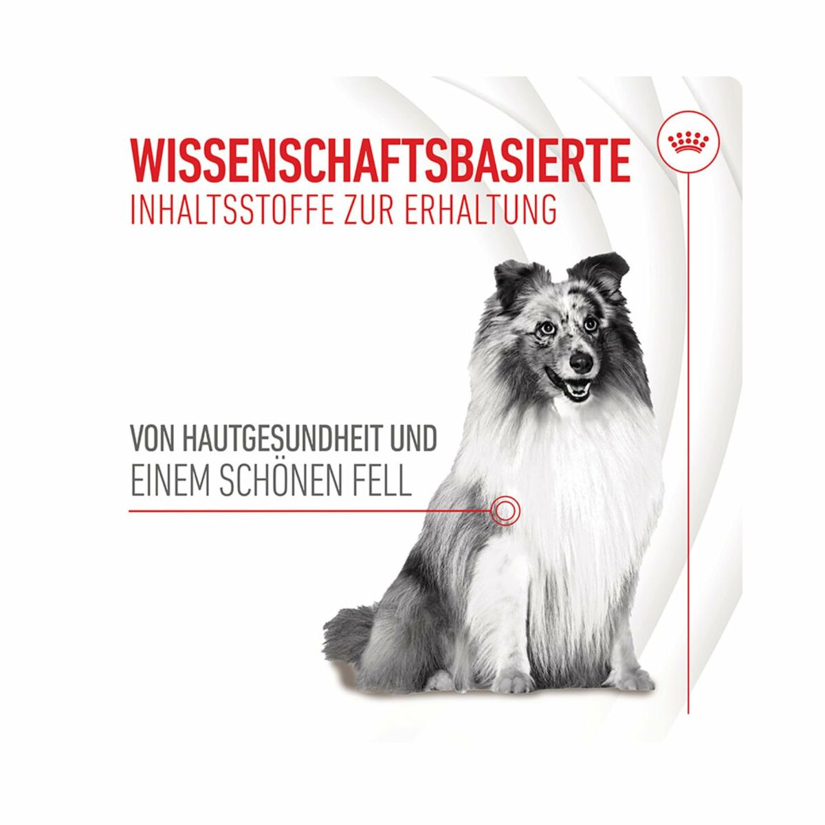 Snack para Perros Royal Canin 240 g