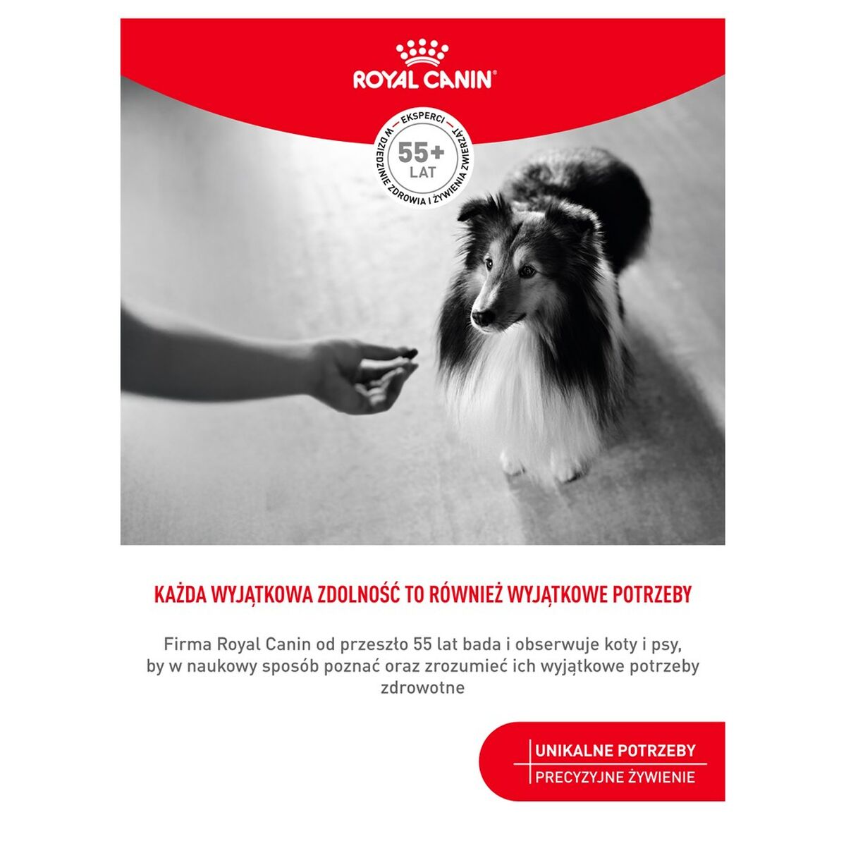 Snack para Perros Royal Canin 240 g