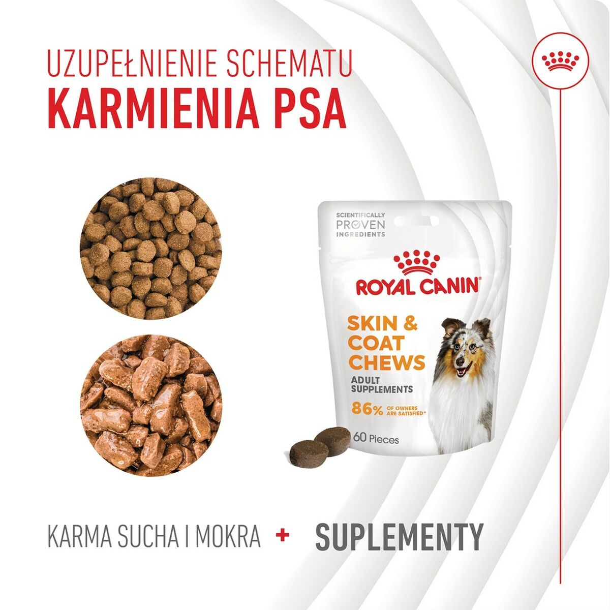 Snack para Perros Royal Canin 240 g
