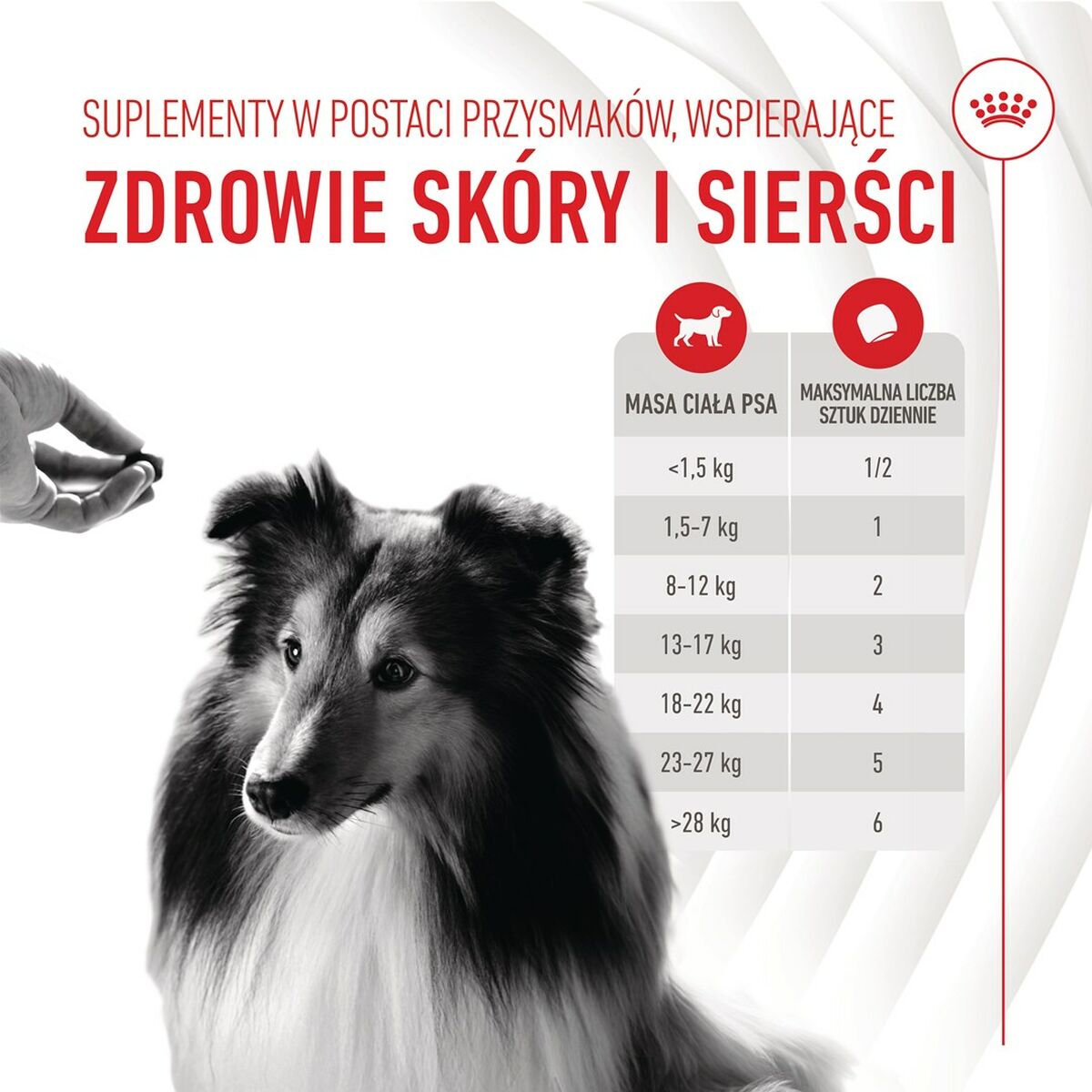 Snack para Perros Royal Canin 240 g