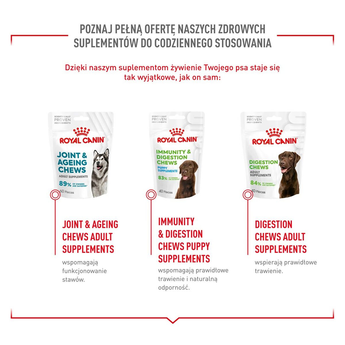 Snack para Perros Royal Canin 240 g