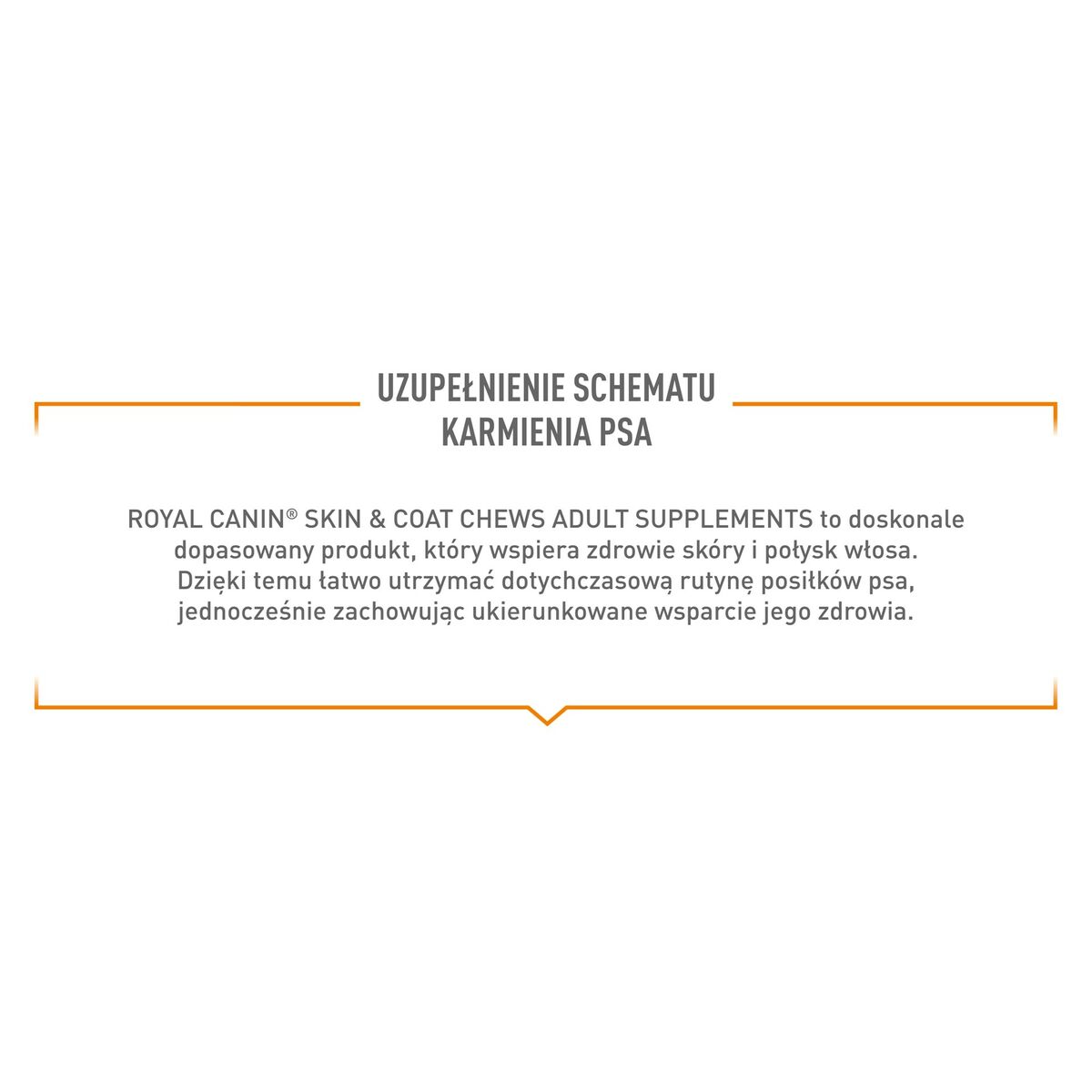 Snack para Perros Royal Canin 240 g