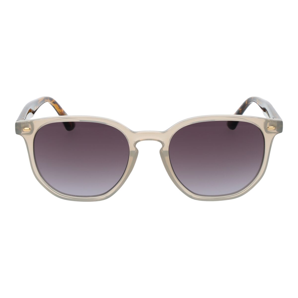 Gafas de Sol Hombre Ted Baker TB1655 52901