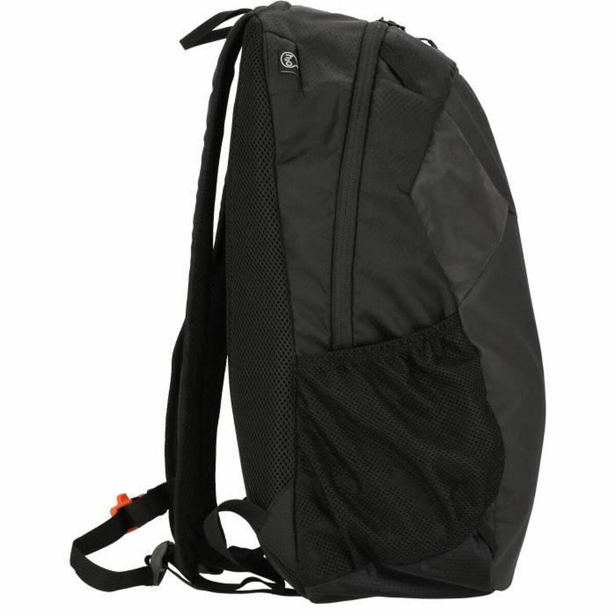 Mochila de Senderismo Whistler Froswick Negro 20 L 50 x 25 x 14,5 cm