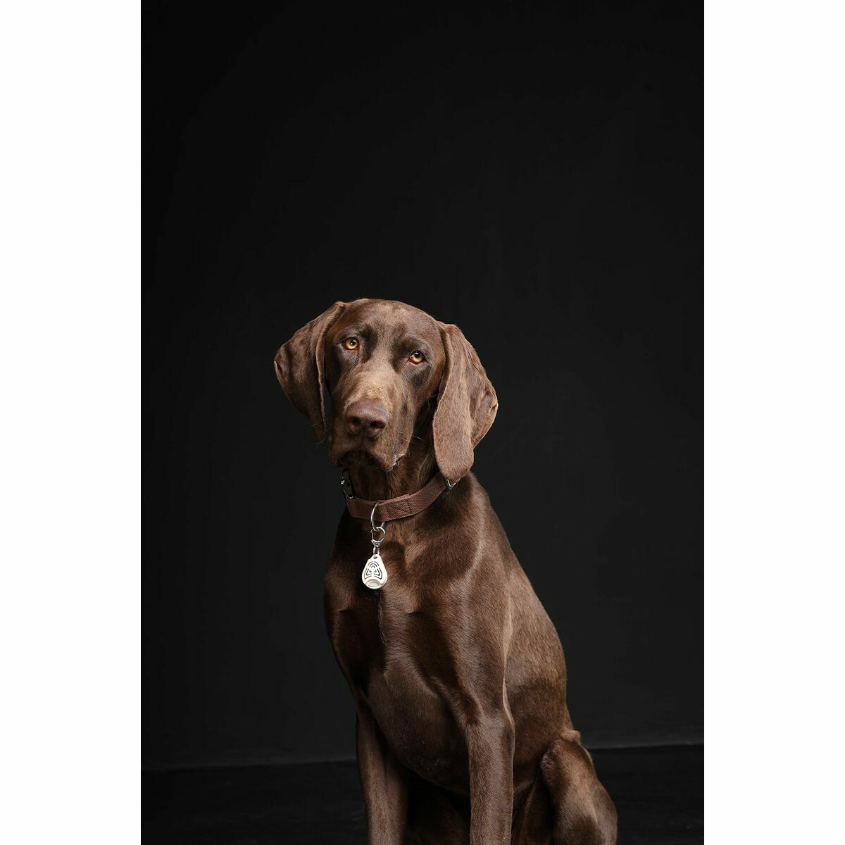 Repelente de insectos Tickless