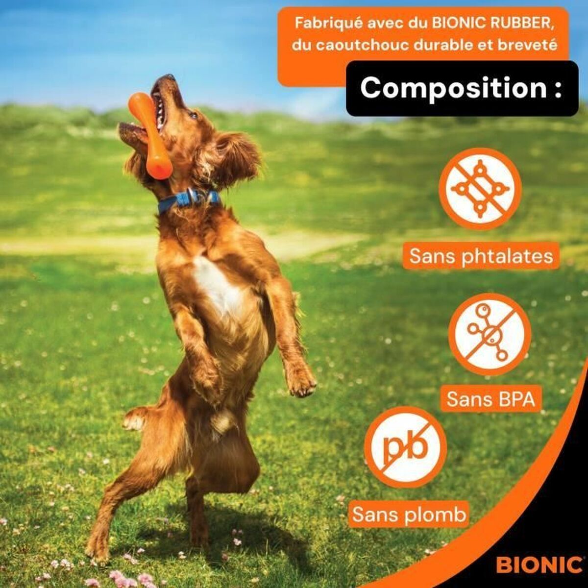 Juguete para perros Bionic Urban stick Naranja 23 cm M