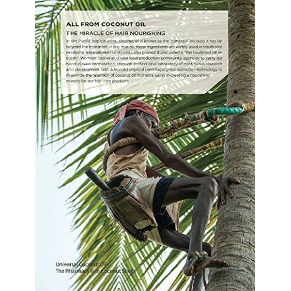 Champú Hidratante Beaver COCONUT OIL & QUINOA 350 ml