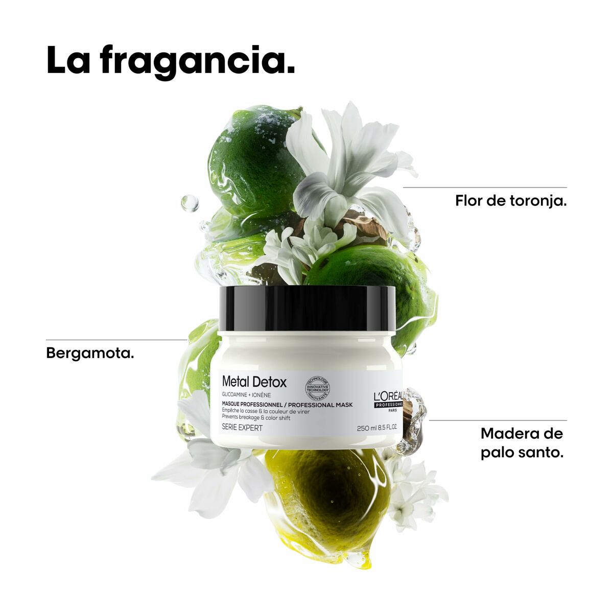 Mascarilla Reparadora L'Oreal Professionnel Paris METAL DETOX 150 ml