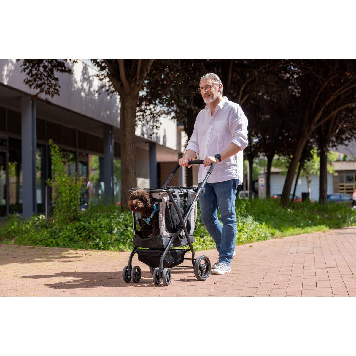 Carro de Compra Carlett CUBE P PINE Verde