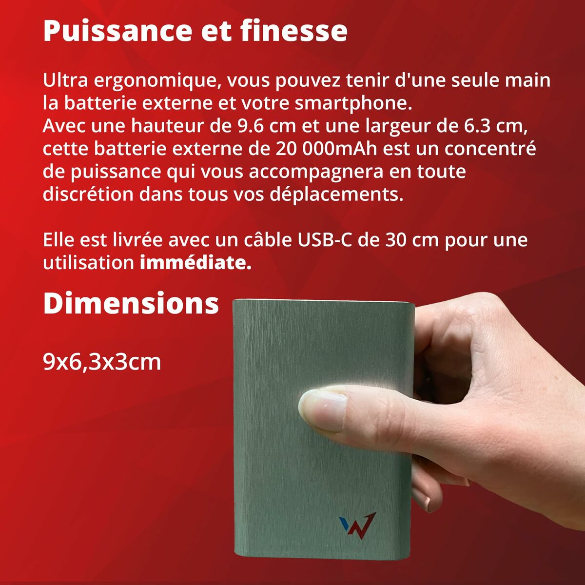 Powerbank Wonder Wonder WX20 Plateado 20000 mAh