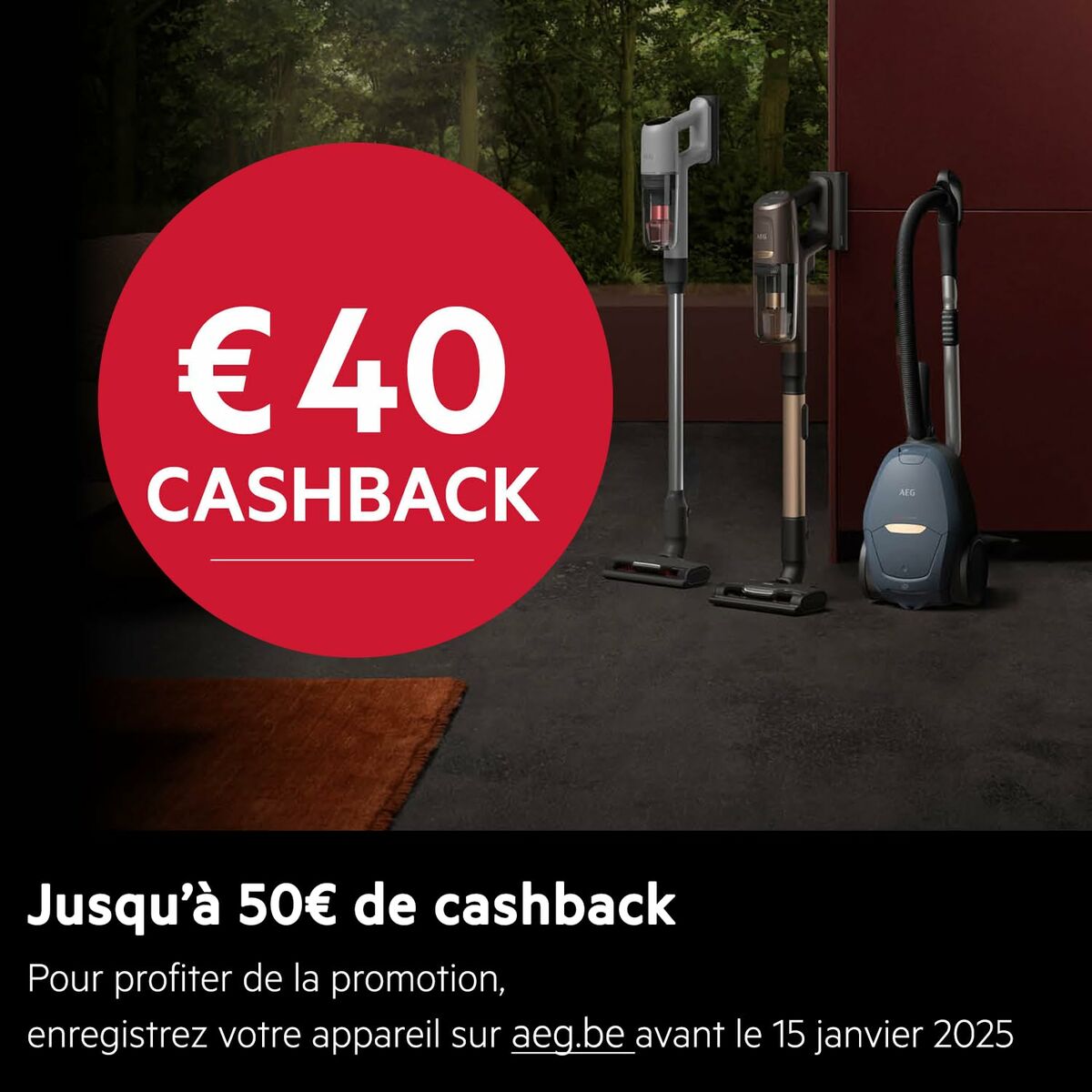 Aspiradora AEG VX82-1-ÖKO Negro 600 W