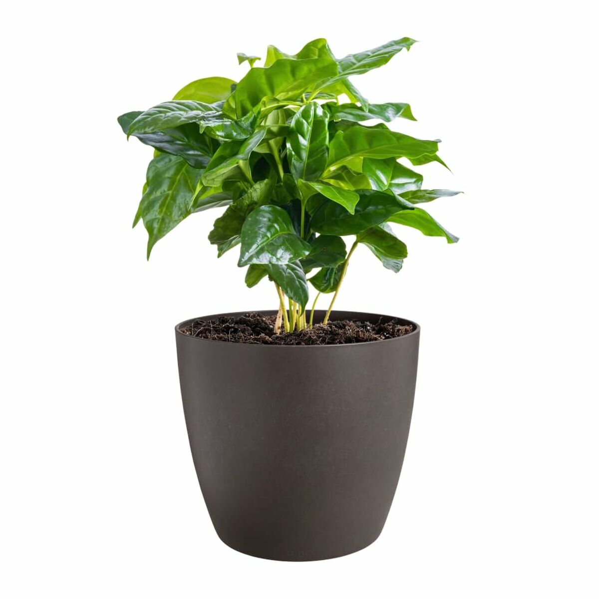 Set de Macetas Elho Plástico Redondo 3 Piezas