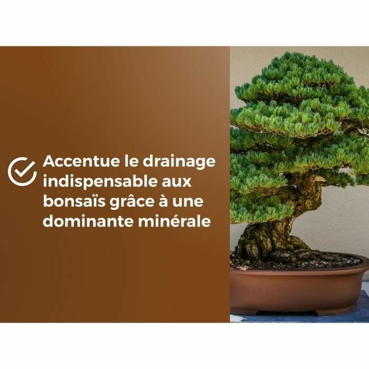 Tierra para macetas OR BRUN BROWN GOLD 6 L