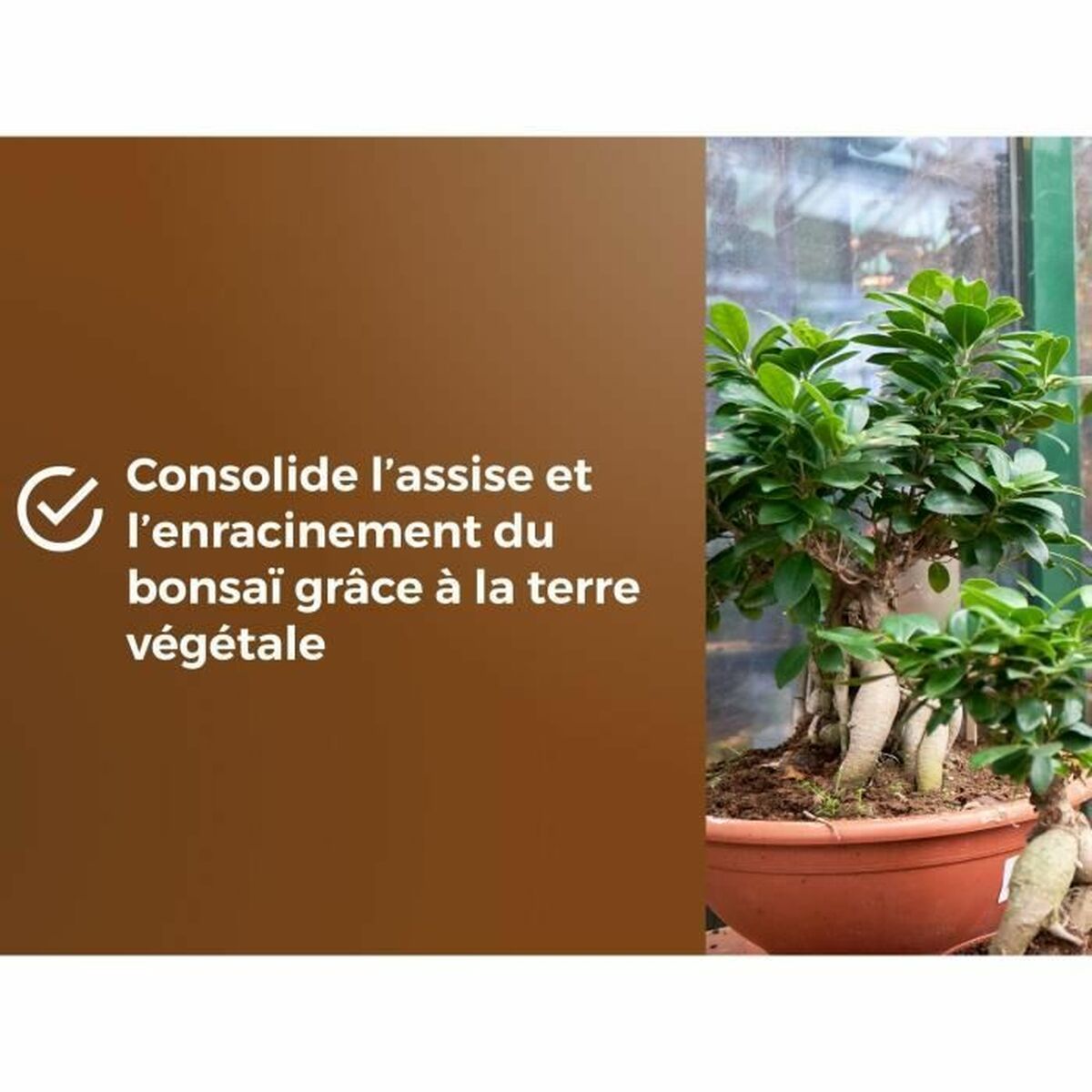 Tierra para macetas OR BRUN BROWN GOLD 6 L