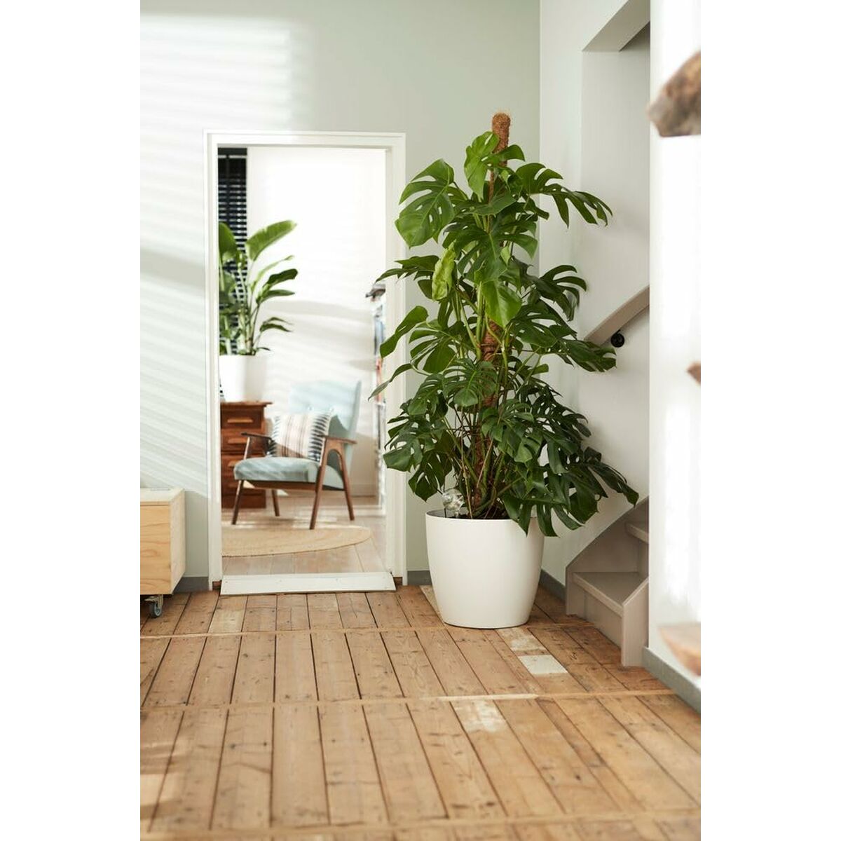 Set de Macetas Elho Blanco Plástico Redondo 2 Piezas