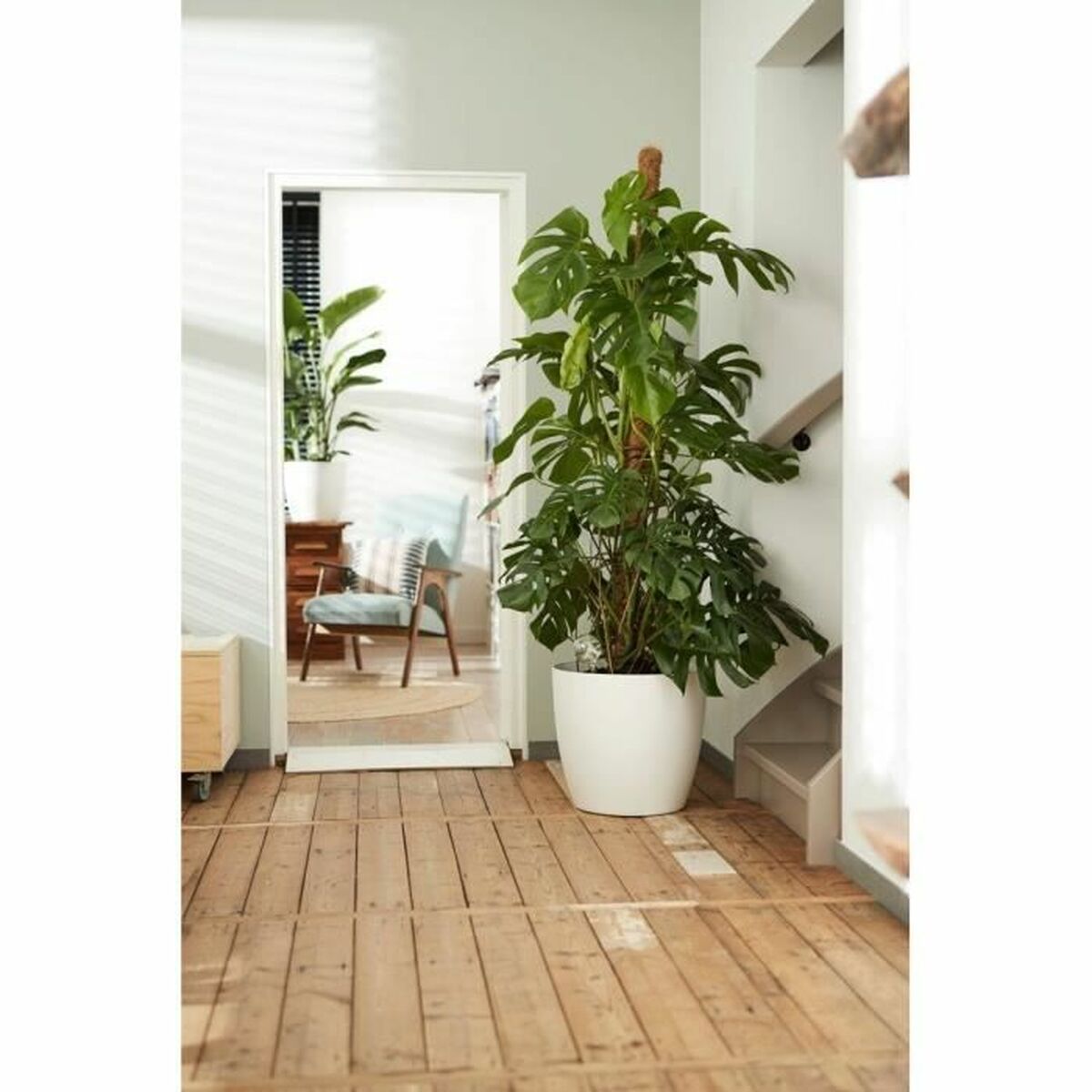 Set de Macetas Elho Blanco Plástico Redondo 2 Piezas