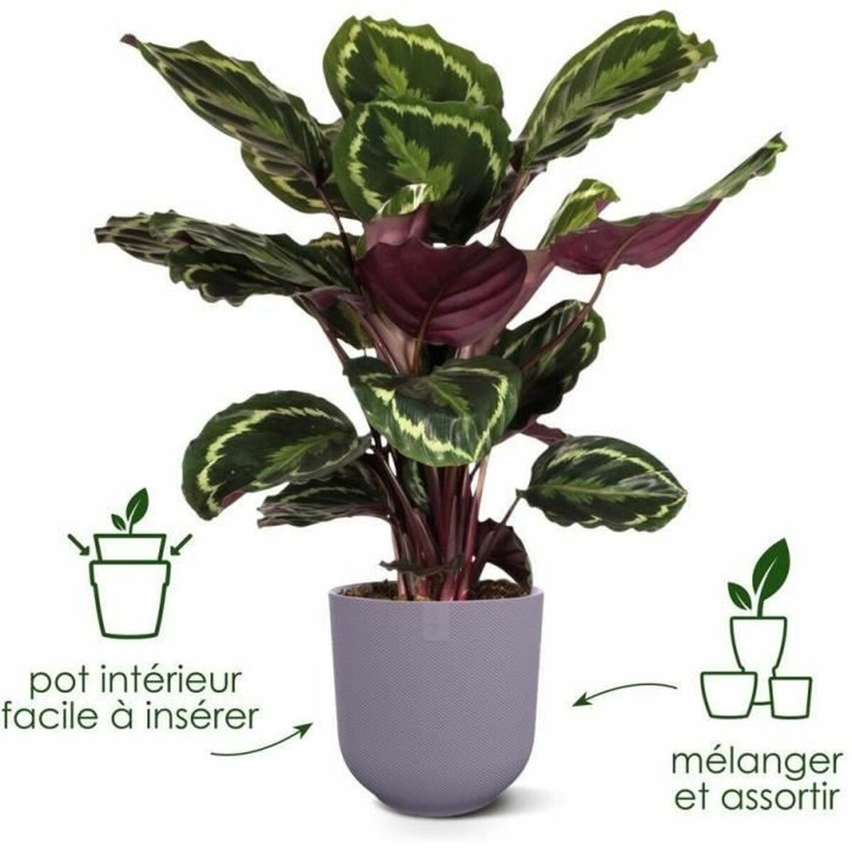 Maceta Elho Jazz Blanco Lila Plástico Redondo 3 Piezas