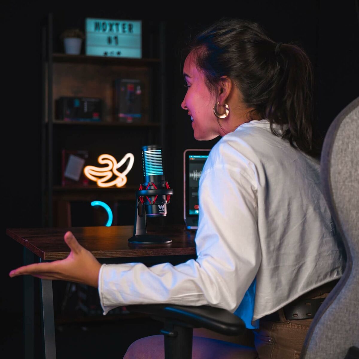 Micrófono Woxter WE26-029