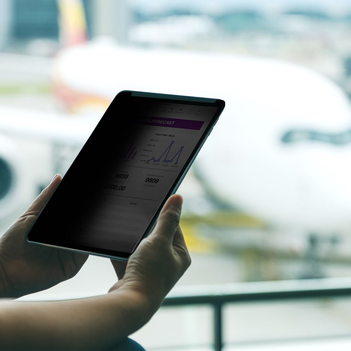 Cable HDMI Startech 129IP-PRIVACY-SCREEN Negro