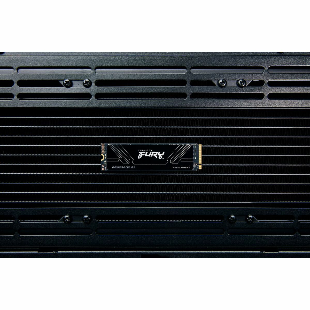 Disco Duro Kingston SFYR2S/1T0 1 TB SSD