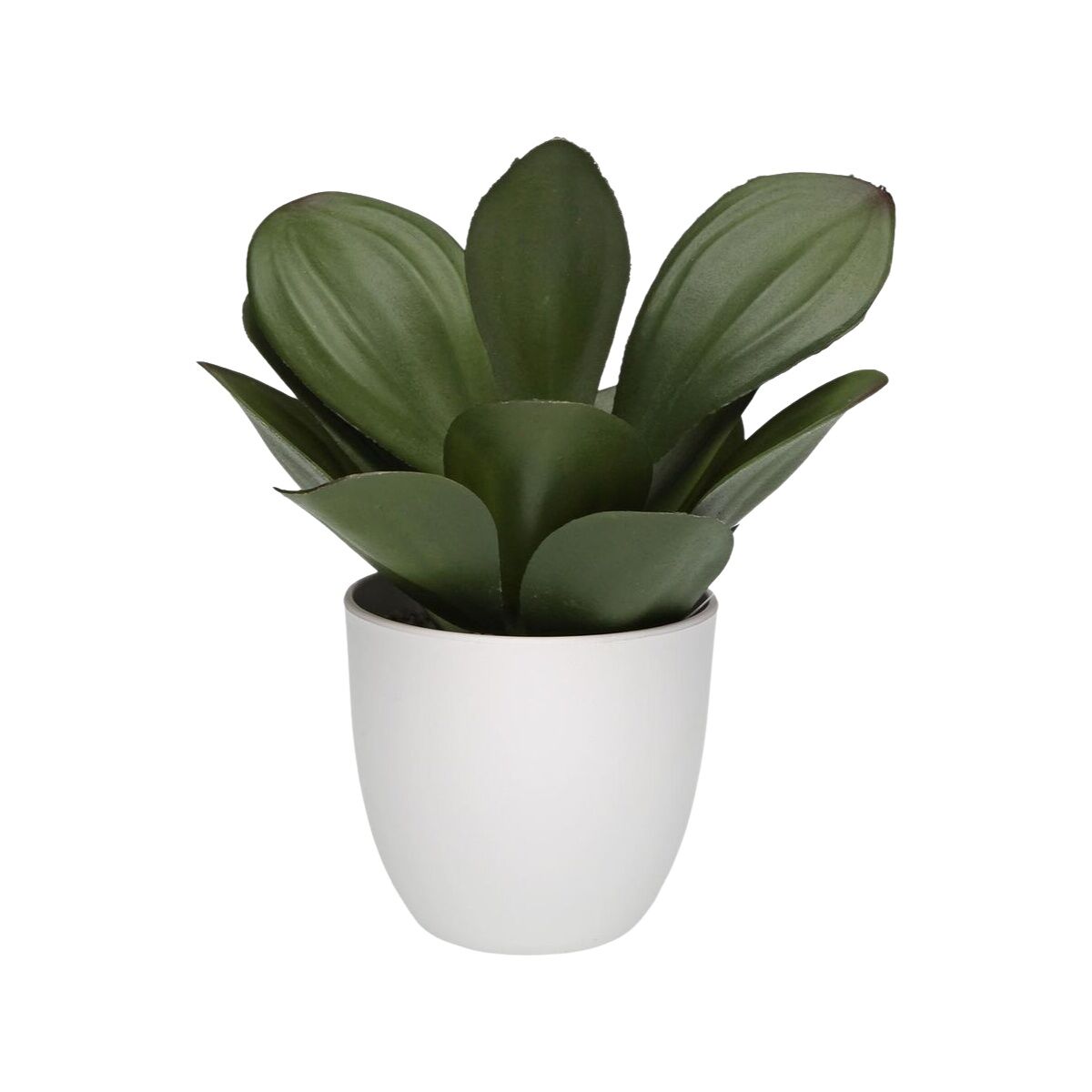 Planta Decorativa Versa Hierro Textil Plástico 25 x 23 cm