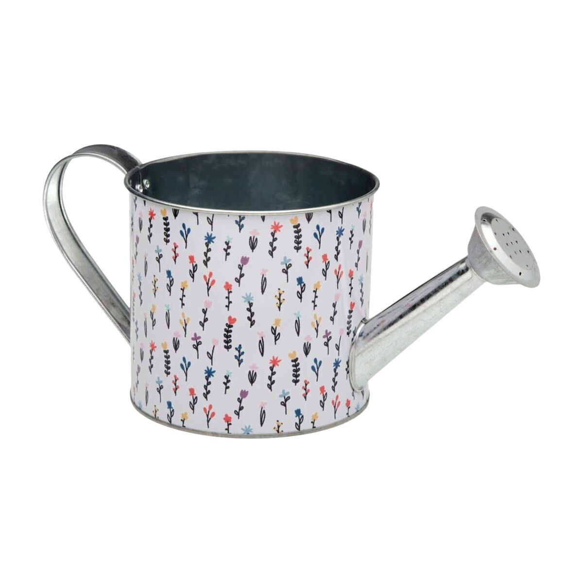 Regadera Versa Blume Metal