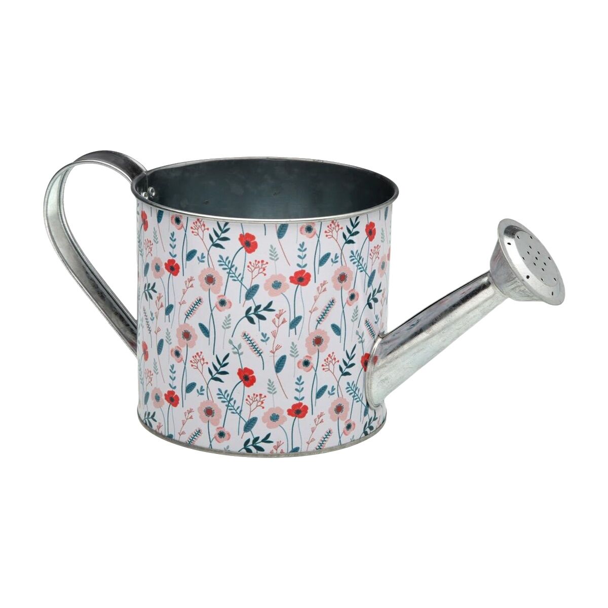 Regadera Versa Verdi Metal