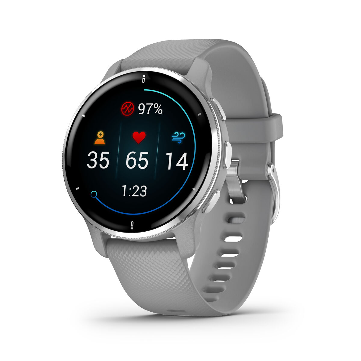 Smartwatch GARMIN 010-02496-10 Gris Plateado
