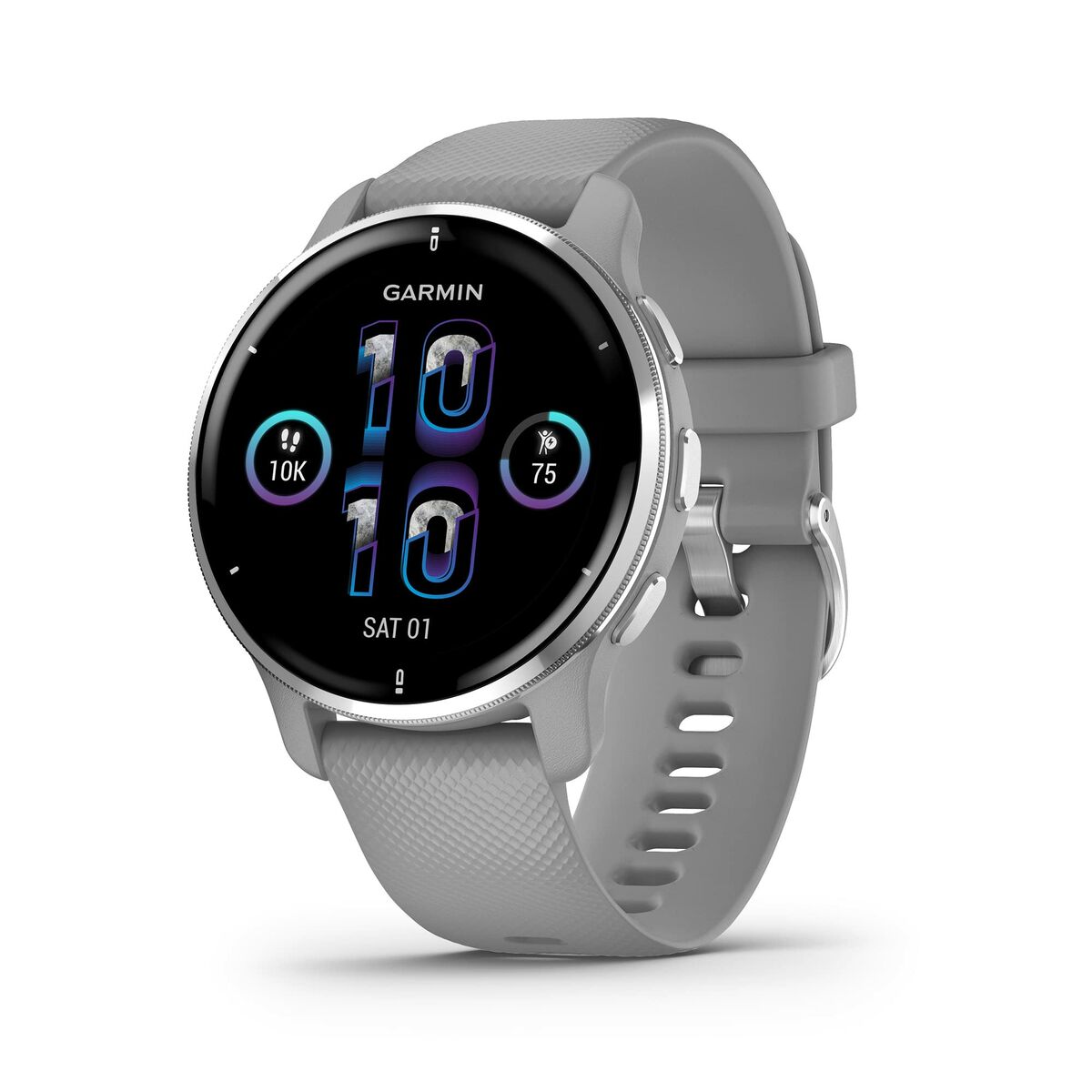 Smartwatch GARMIN 010-02496-10 Gris Plateado