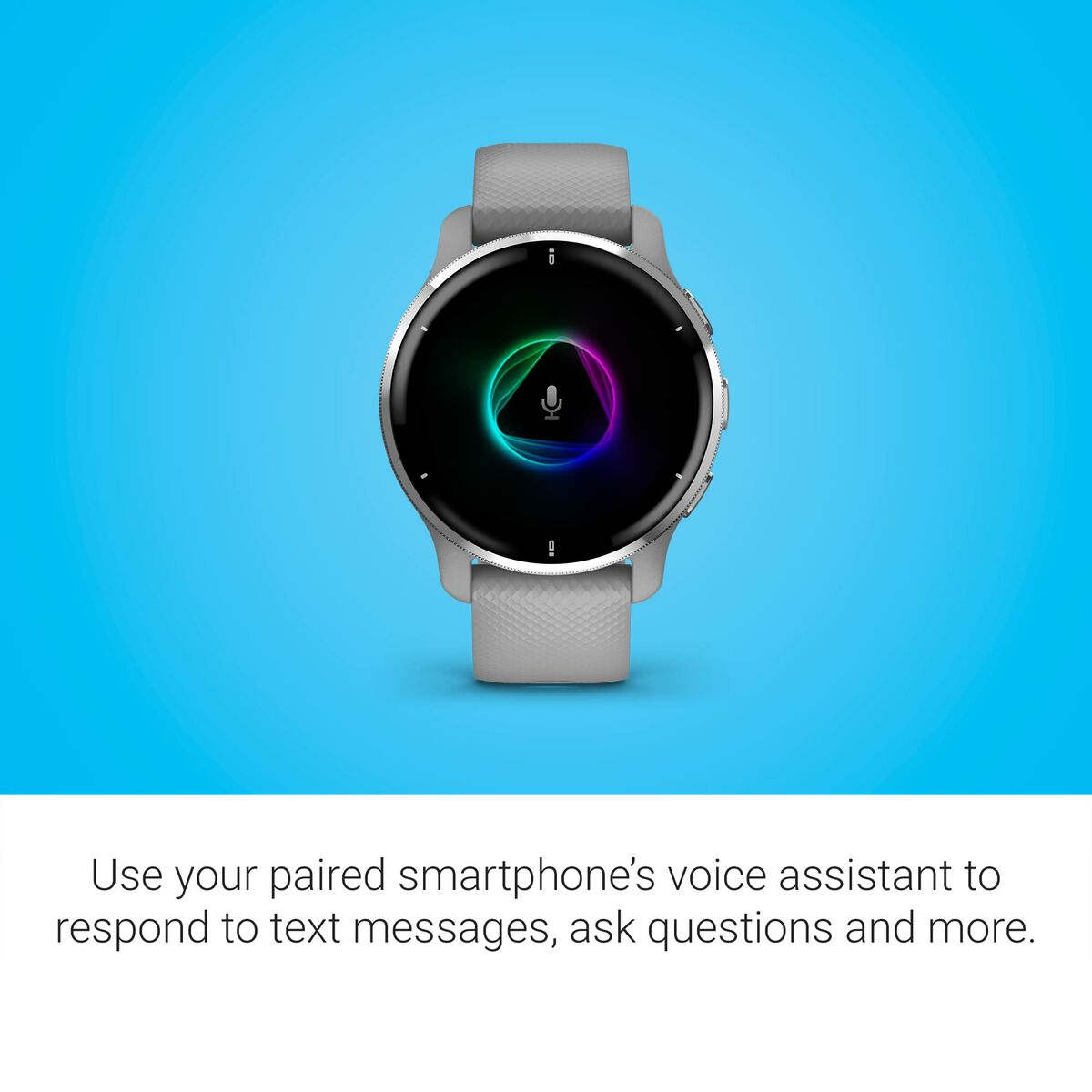 Smartwatch GARMIN 010-02496-10 Gris Plateado