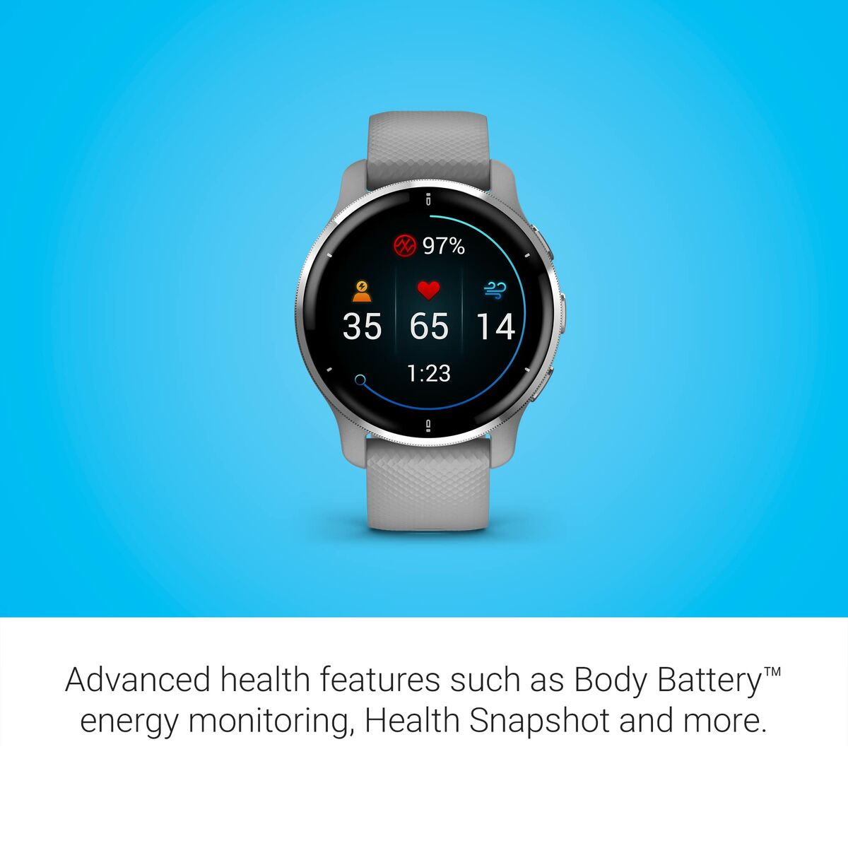 Smartwatch GARMIN 010-02496-10 Gris Plateado