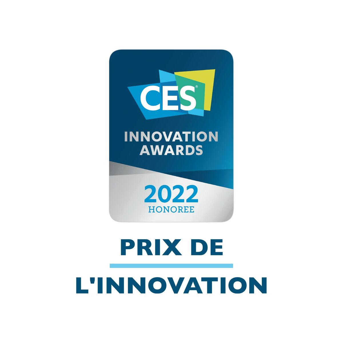 Smartwatch GARMIN 010-02496-10 Gris Plateado