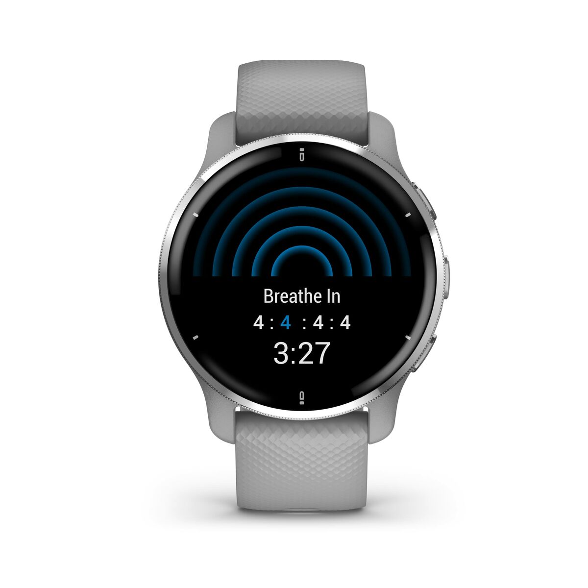 Smartwatch GARMIN 010-02496-10 Gris Plateado