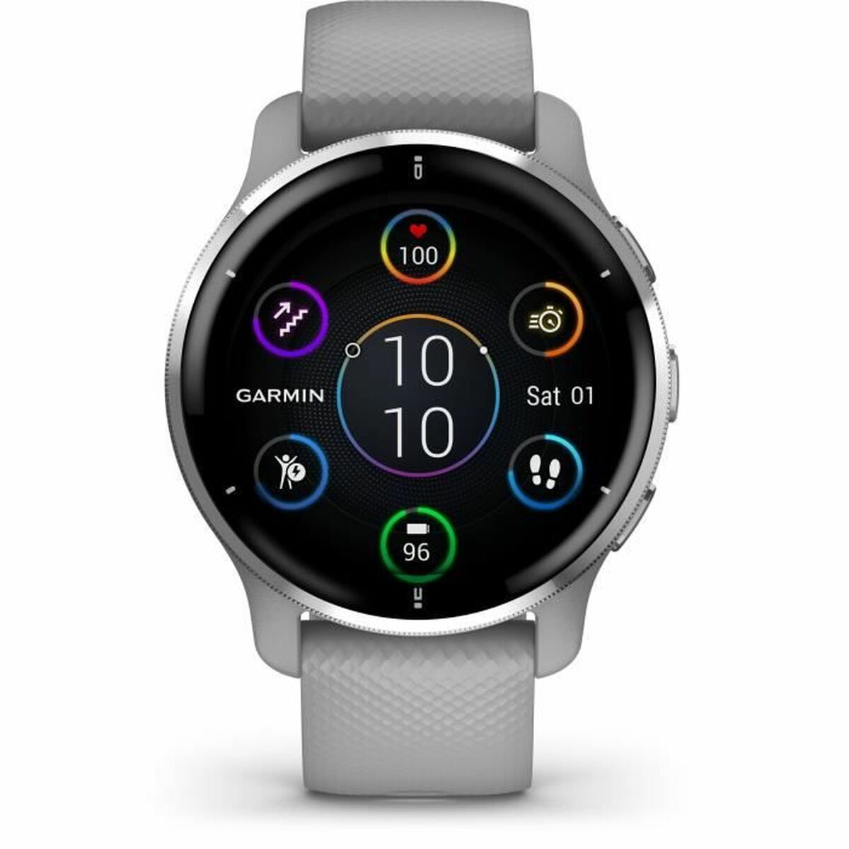 Smartwatch GARMIN 010-02496-10 Gris Plateado