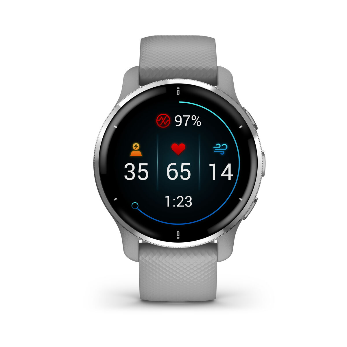 Smartwatch GARMIN 010-02496-10 Gris Plateado