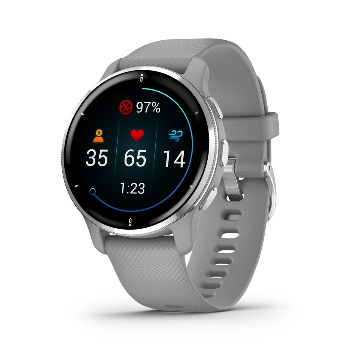 Smartwatch GARMIN 010-02496-10 Gris Plateado
