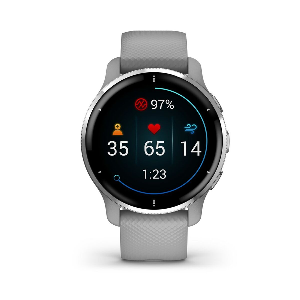 Smartwatch GARMIN 010-02496-10 Gris Plateado
