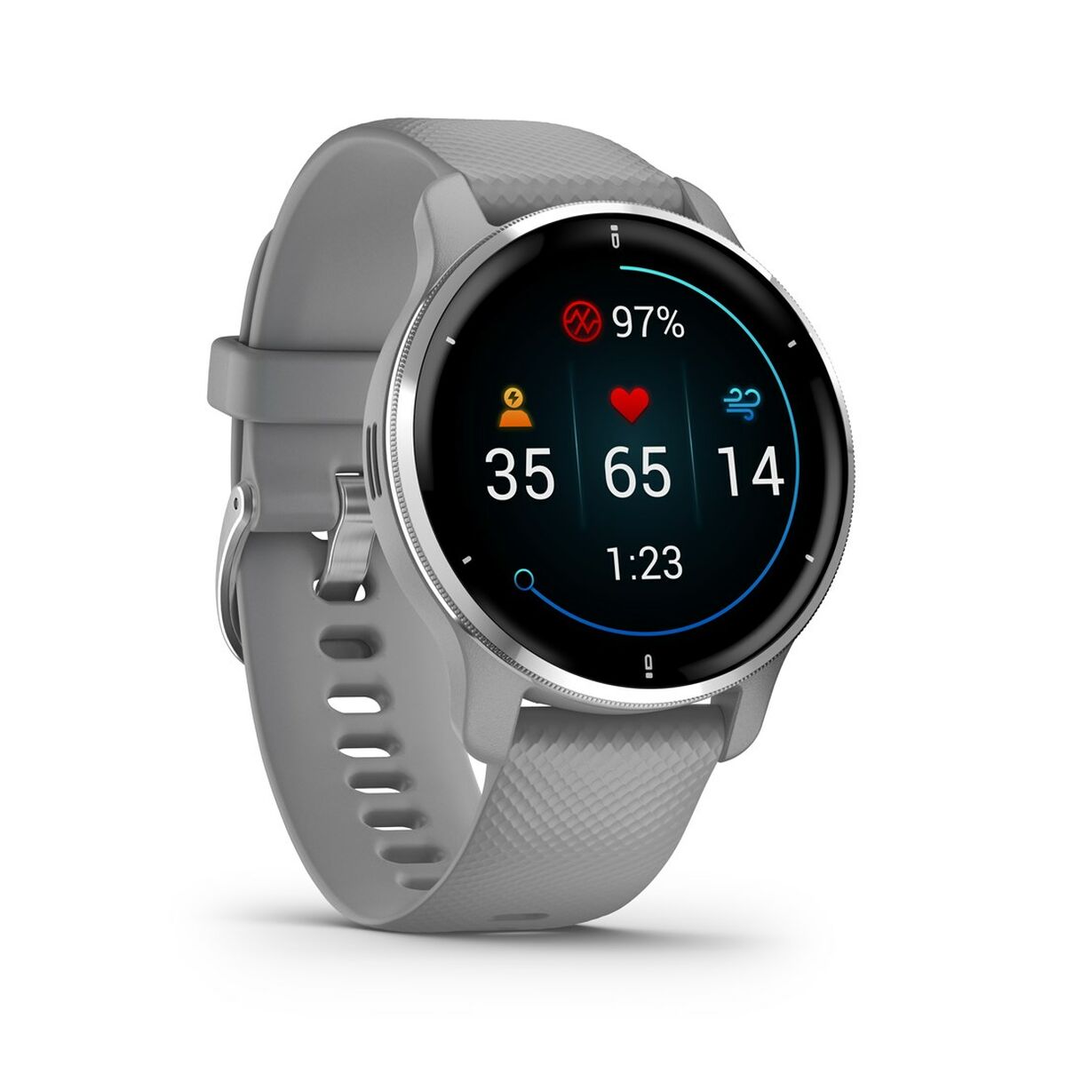 Smartwatch GARMIN 010-02496-10 Gris Plateado