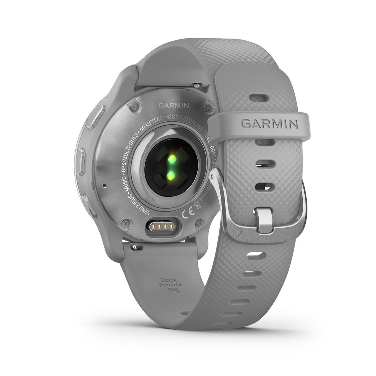 Smartwatch GARMIN 010-02496-10 Gris Plateado
