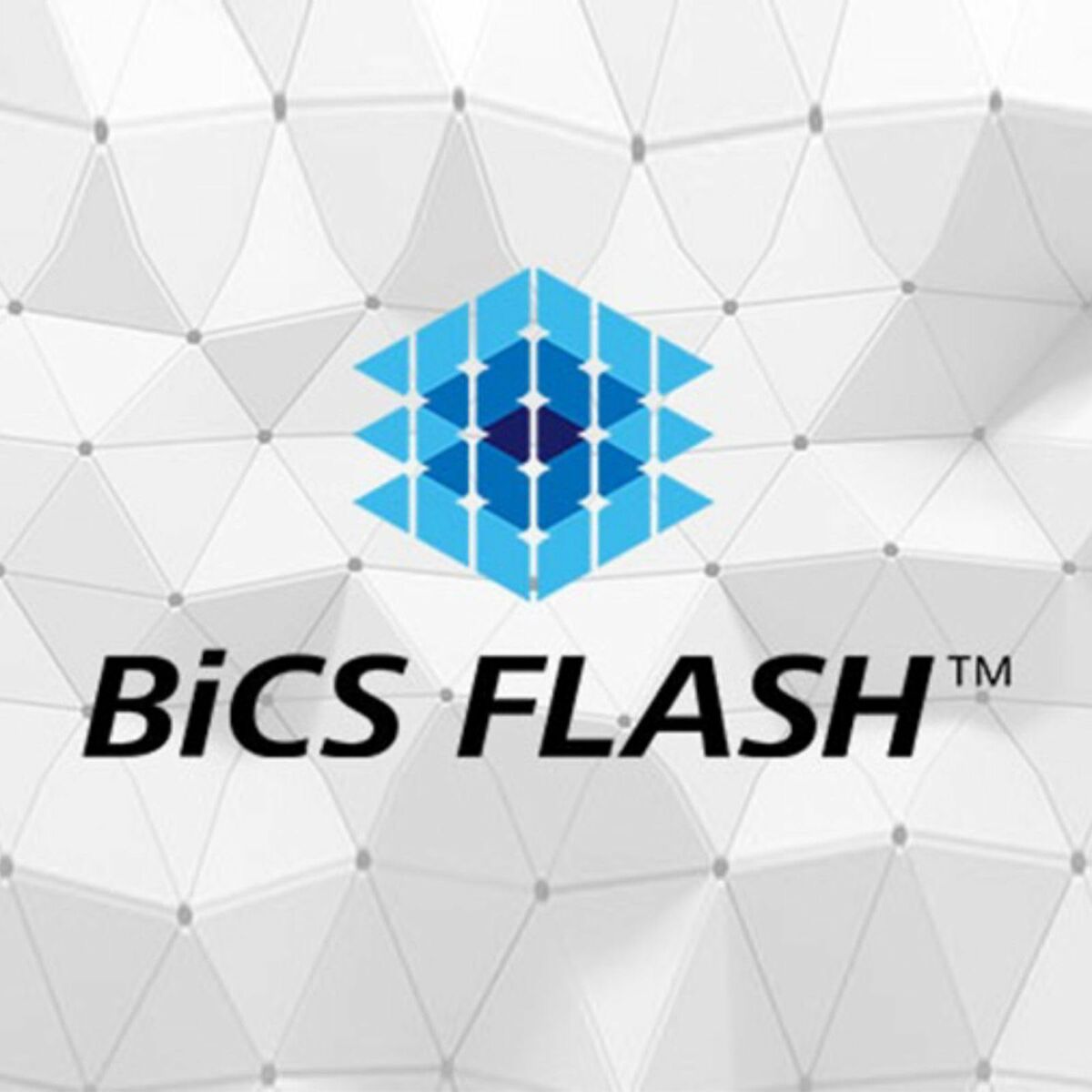 Disco Duro Externo Kioxia EXCERIA Plus G2 1 TB SSD