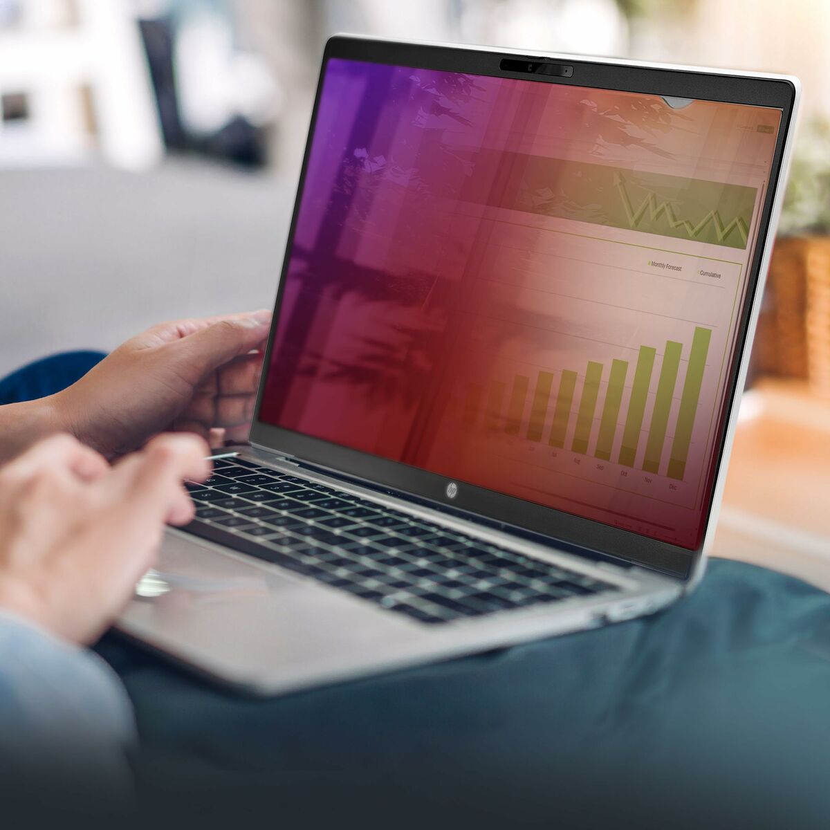 Armario Rack Mural Startech 14G-PRIVACY-SCREEN