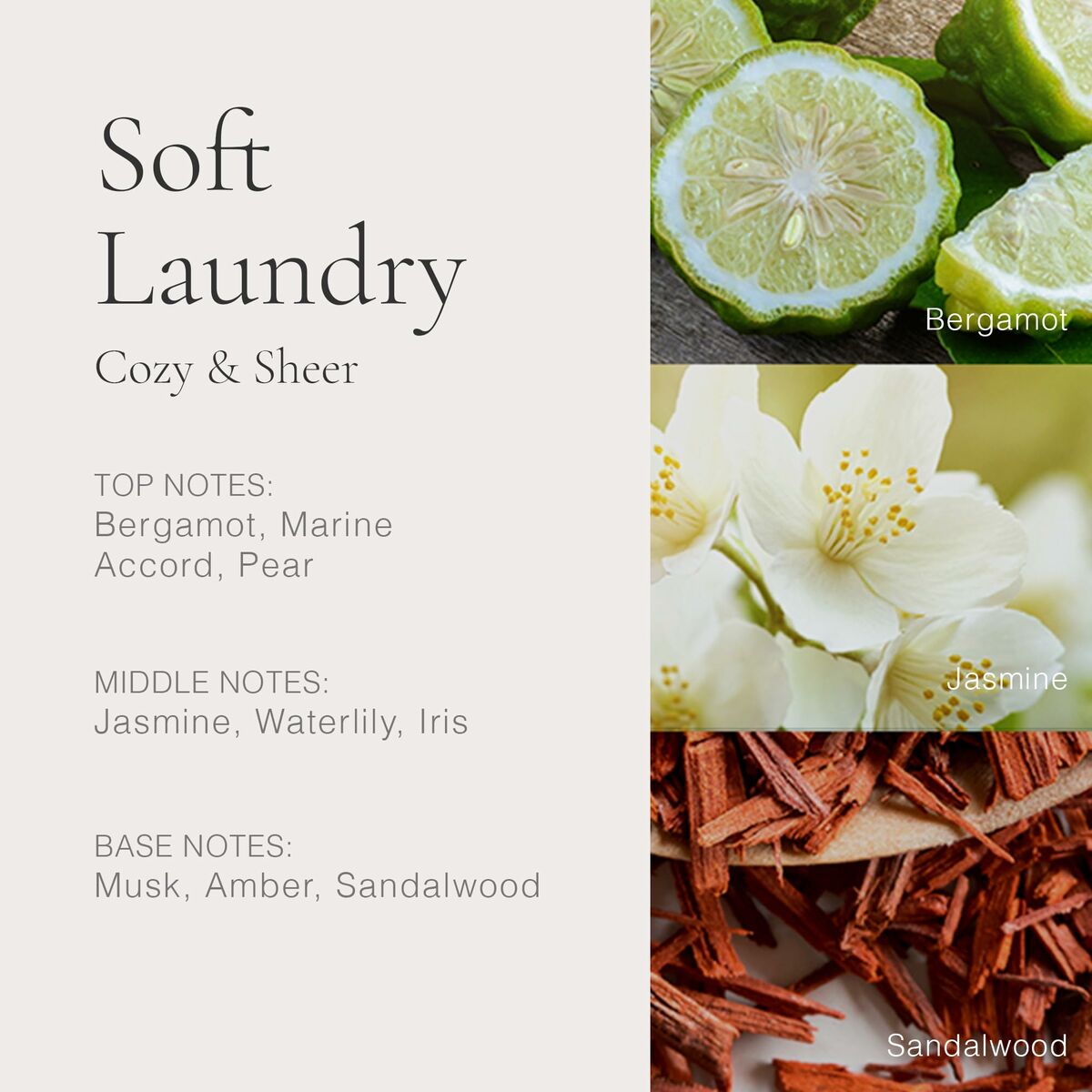 Perfume Unisex Clean